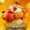 Logo da 8899win